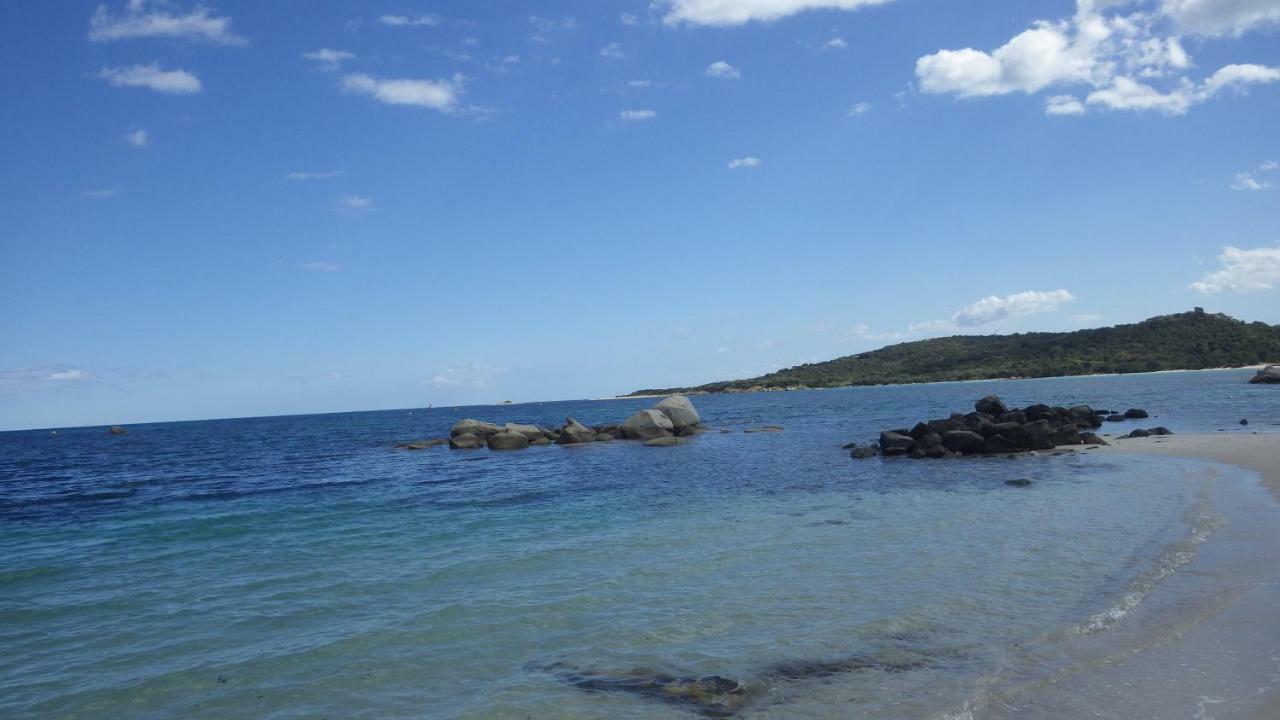 Residence U Re D' Alzettu Porto-Vecchio  Exteriör bild